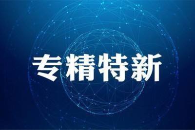 热烈祝贺我公司被认定为山东省“专精特新”中小企业